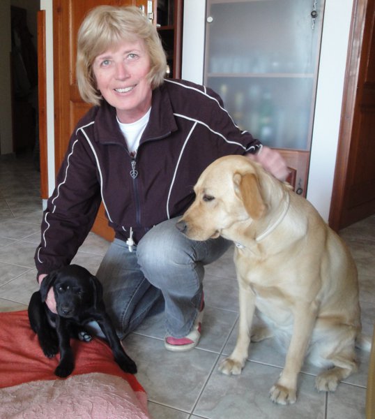 Új kölyöknevelő családunk