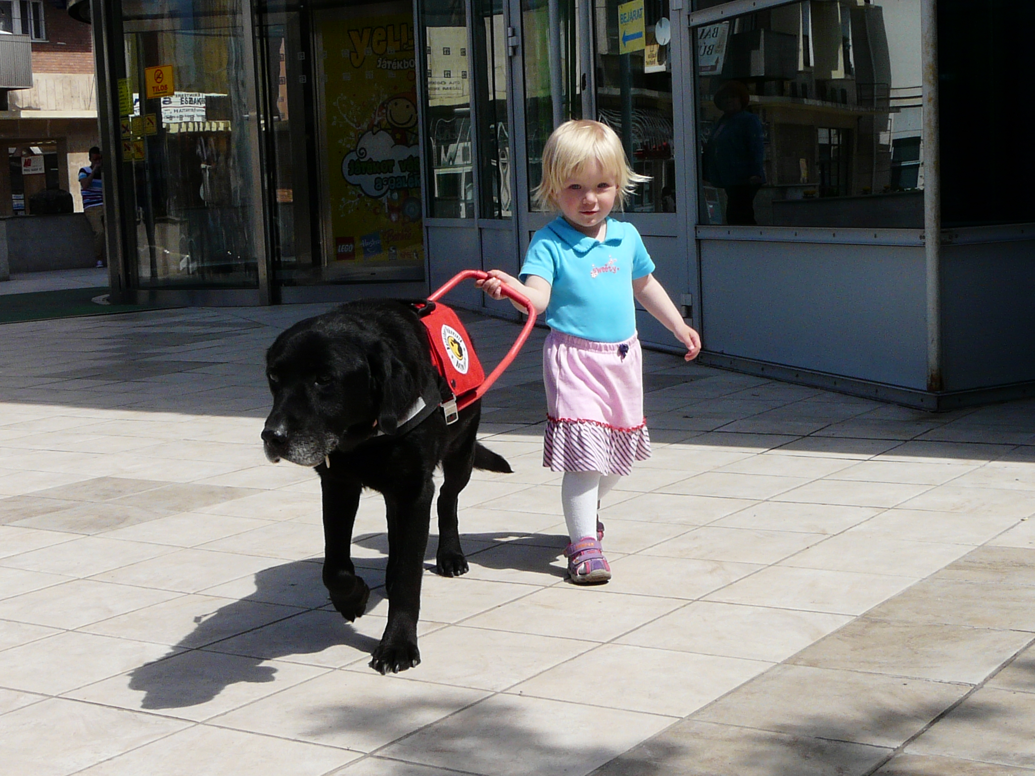 A legifjabb nemzedék