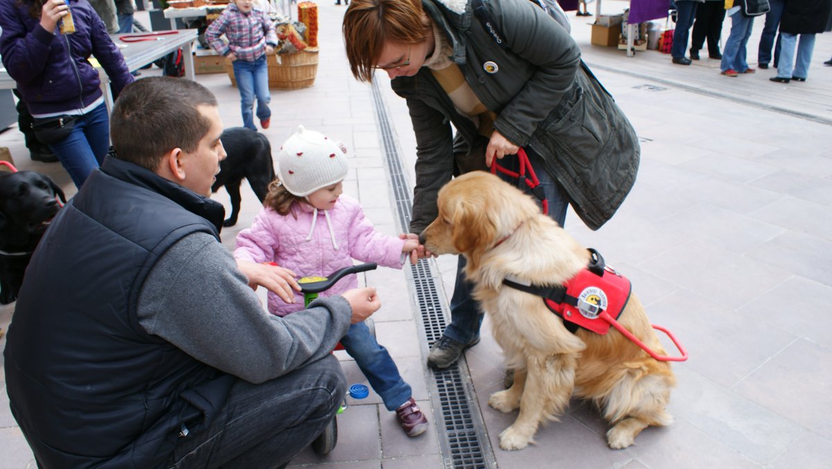 Családi nap a Corvin Sétányon