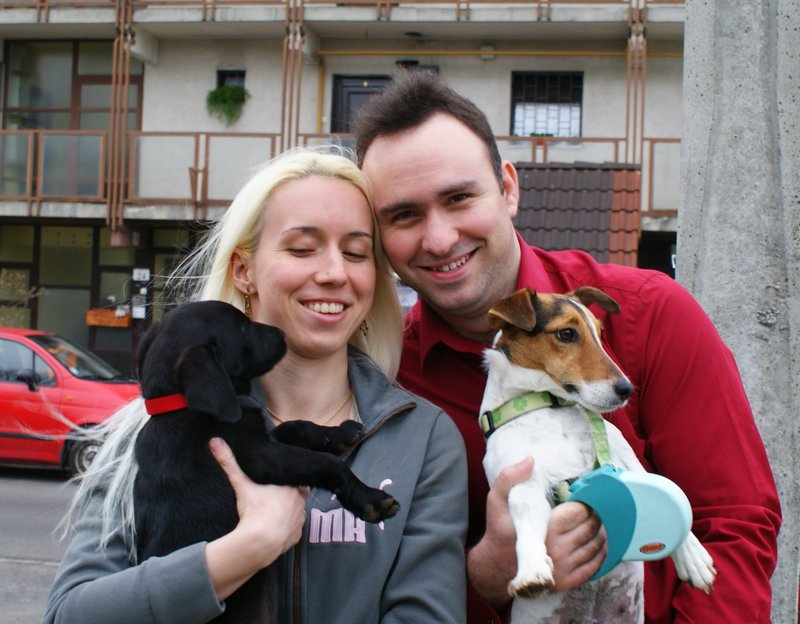 Folytatódik a kölyöknevelő program