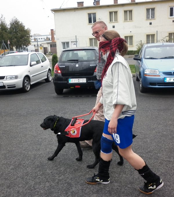 Röplabda bajnokság Zalaegerszegen