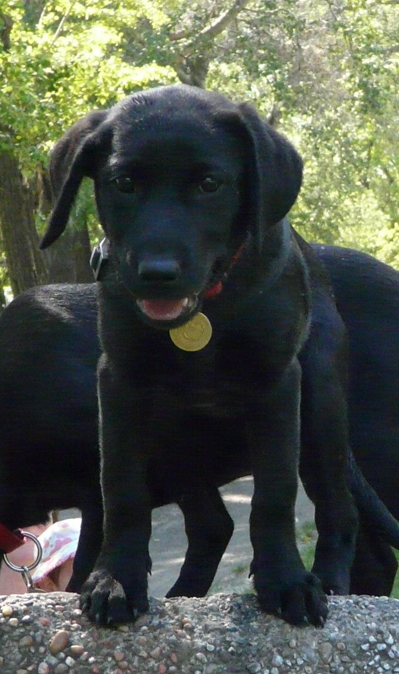 Szavazás az 1%-ért! Add tovább!