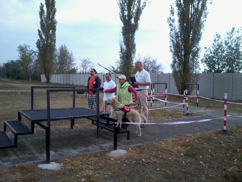Vakvezető kutyás nap Csepelen