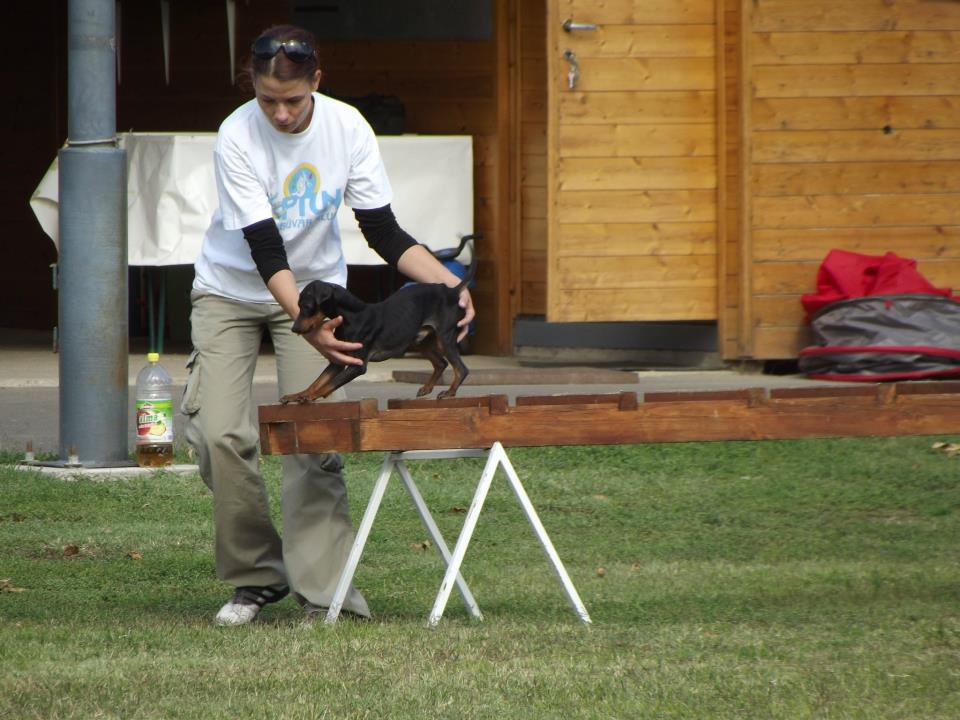 A legkisebbeknek is ugyanaz a feladat