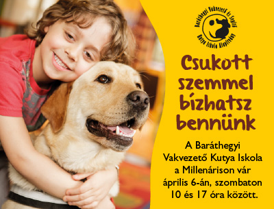 Csukott szemmel bízhatsz bennünk