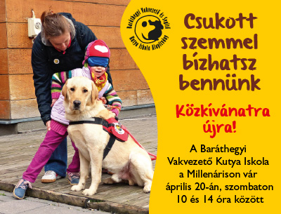 Programjaink a közeljövőben