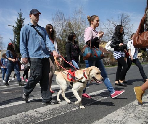 Az Év Civil Szervezete Díj 2013 Miskolc