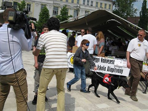 Közösen tettünk az esélyegyenlőségért