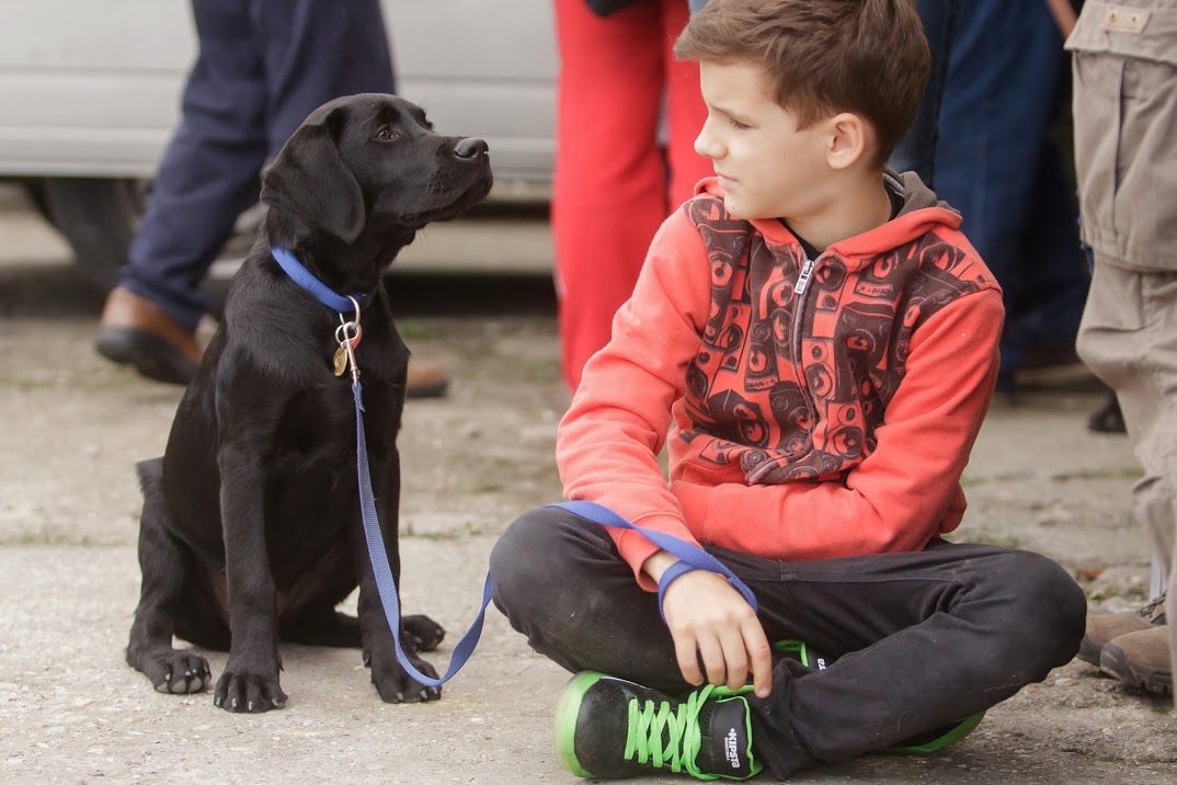 Kölyök és nevelője: ki kit nevel?