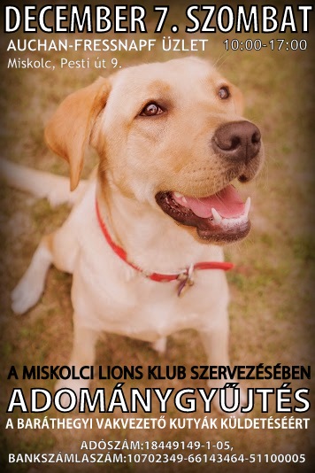 ADOMÁNYGYŰJTÉS A LIONS KLUB SZERVEZÉSÉBEN