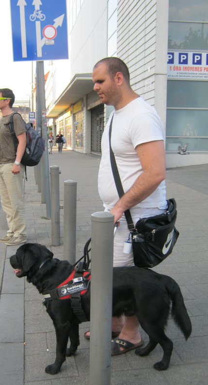 Tex naplója folytatódik