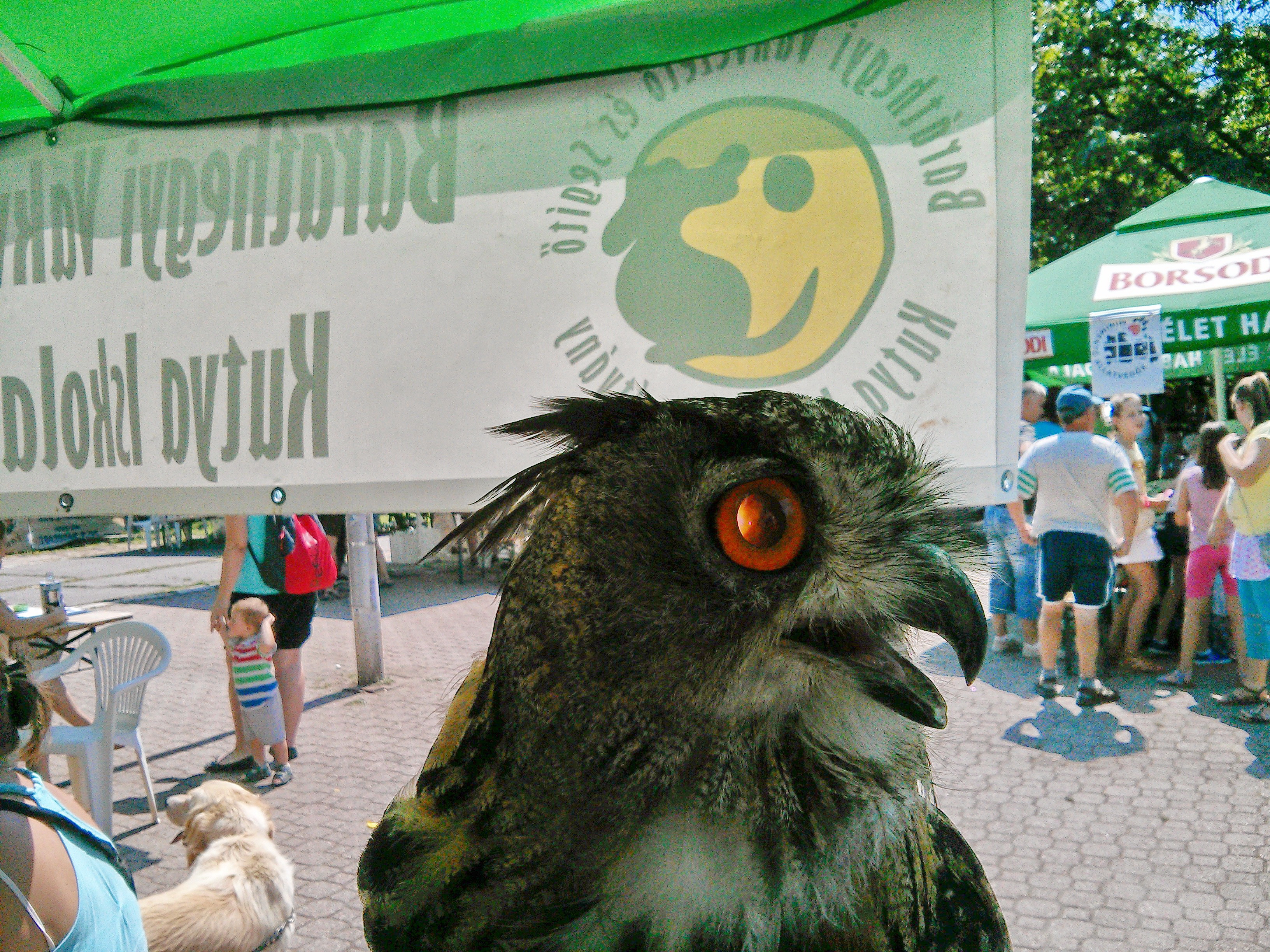 Huhu az uhu is kíváncsi volt a Baráthegyi Vakvezető Kutya Iskola interaktív érzékenyítő programjára