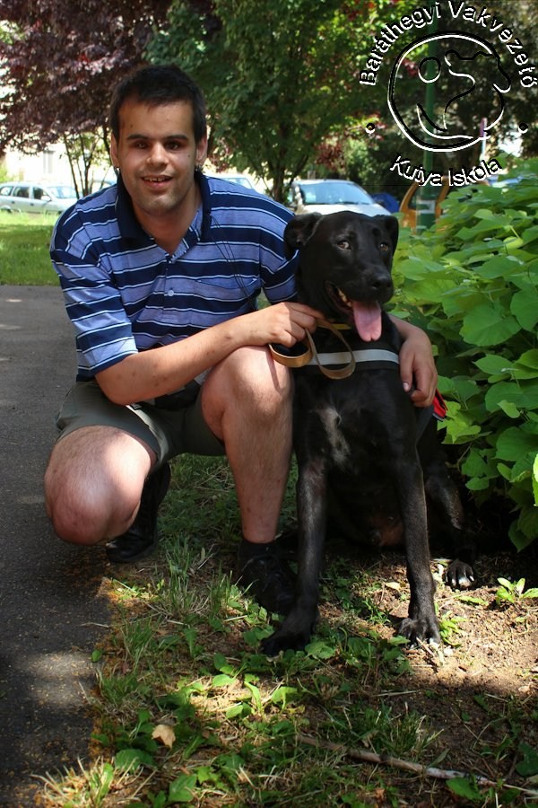 Successful exam by our new guide dog couple