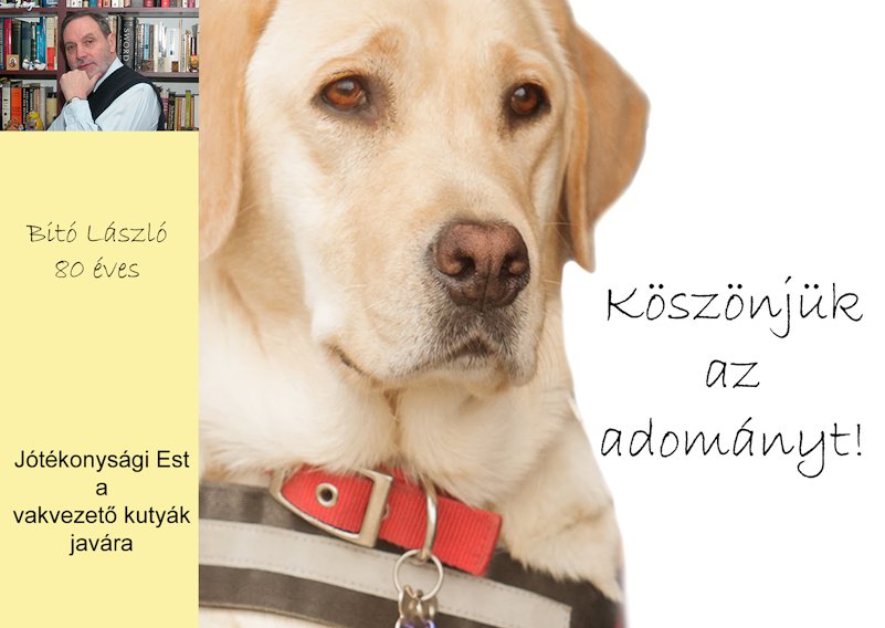 80. birthday for guide dogs