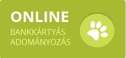 Online bankkártyás adományozás