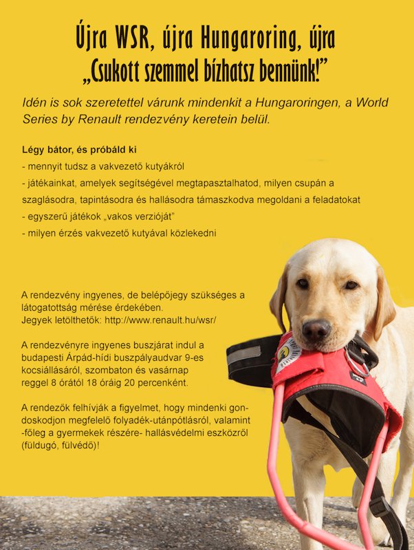 Guide dogs again at WSR, again at Hungaroring!