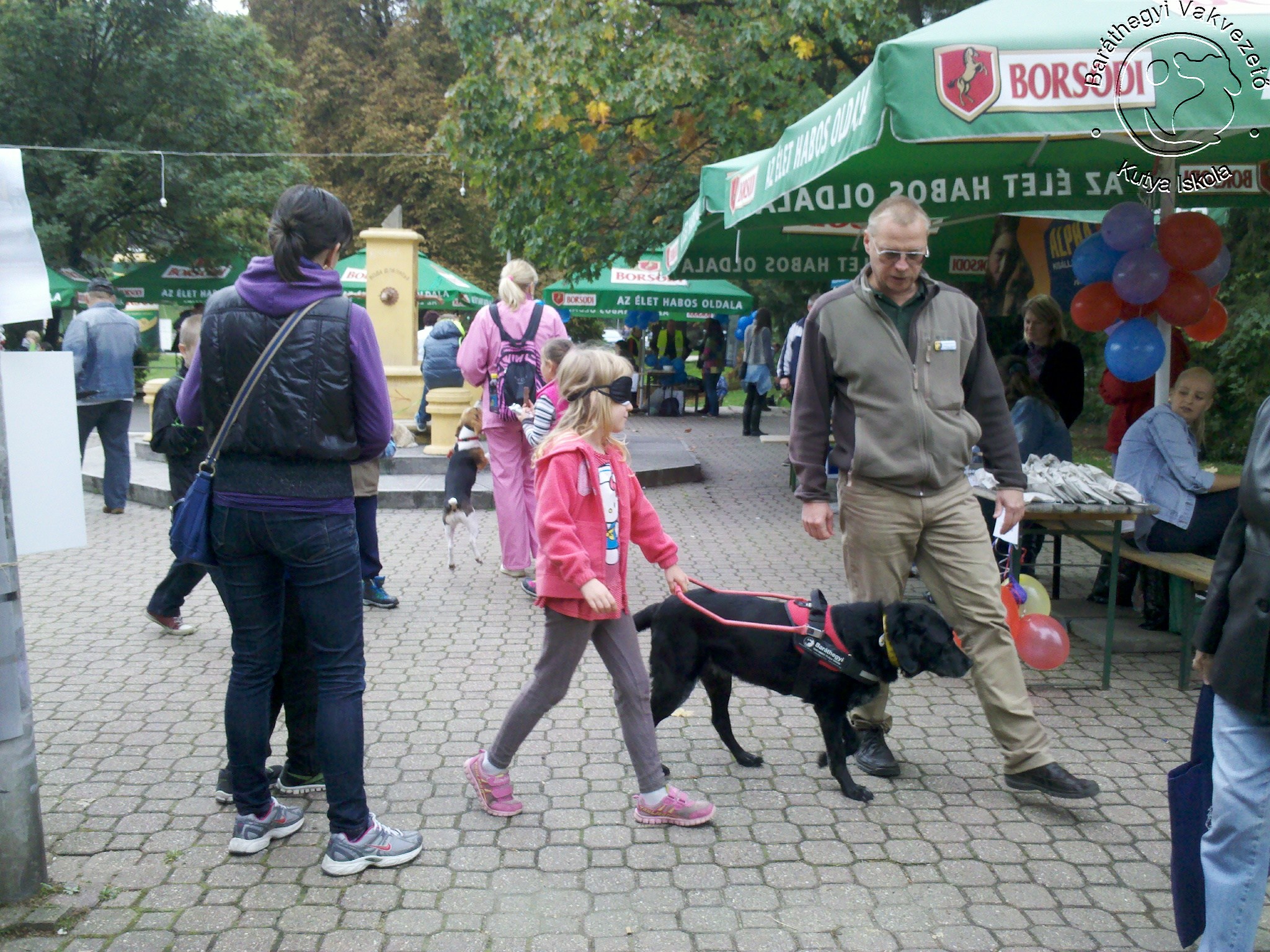 Guide Dogs on the World Animal Day in the Belvarosi Liget in Miskolc
