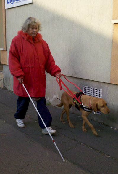 Ilona and Szilaj our new guide dog couple
