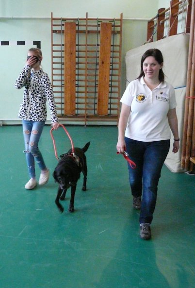 With guide dogs at the sensitization training in Alsózsolca