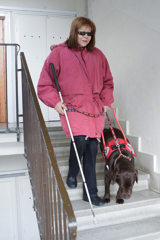 Our next couple passed the exam successfully