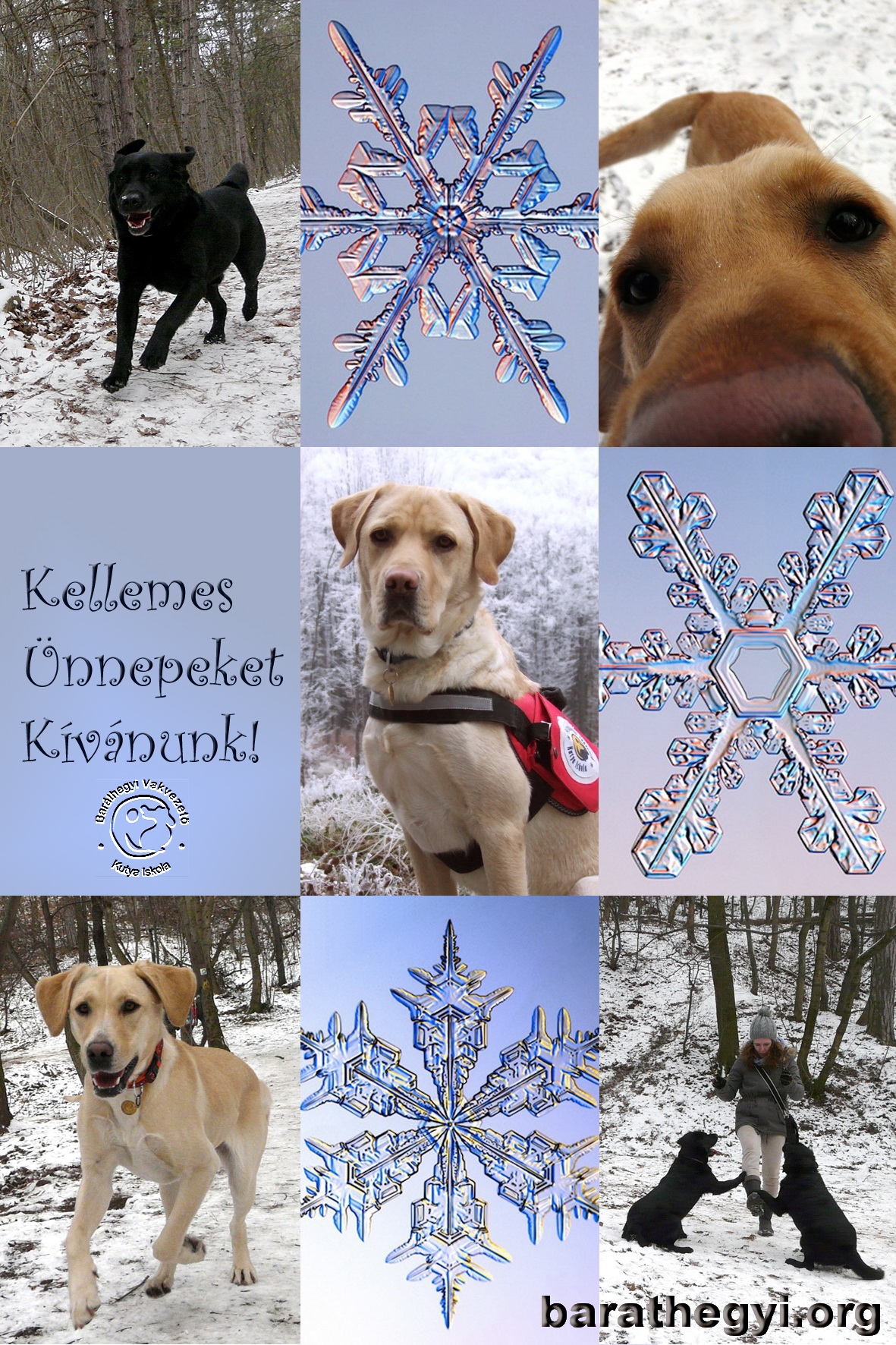Kellemes Ünnepeket Kívánunk!