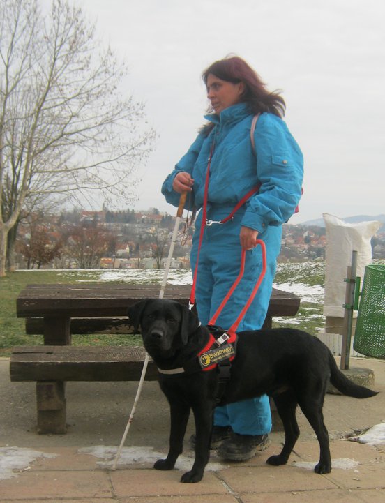 Kriszta Bogdán and her guide dog, Ebu have passed their exam