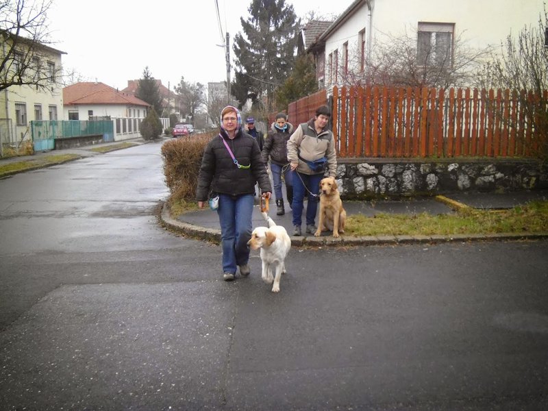 Together the guide dog trainers