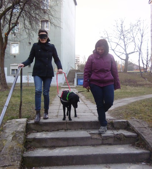 Being at Sensitizing Activity as Volunteer