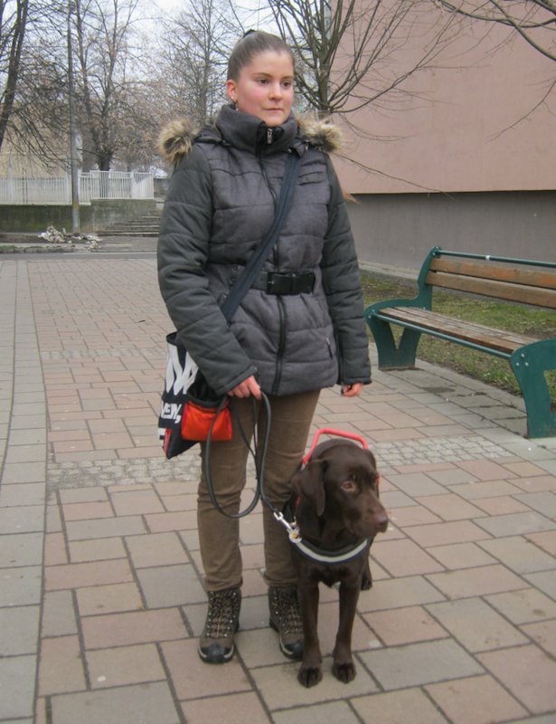 Successful guide dog exams