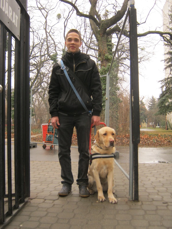 New successful guide dog exam