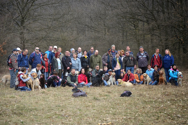 With guide dogs on Hármashatár Hill