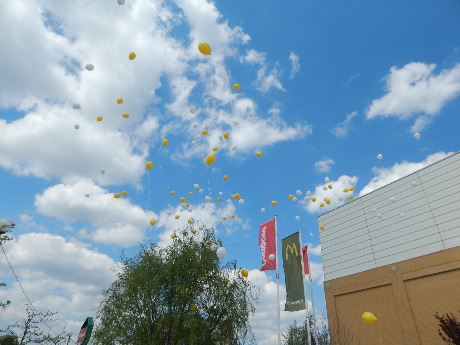 International Guide Dog Day