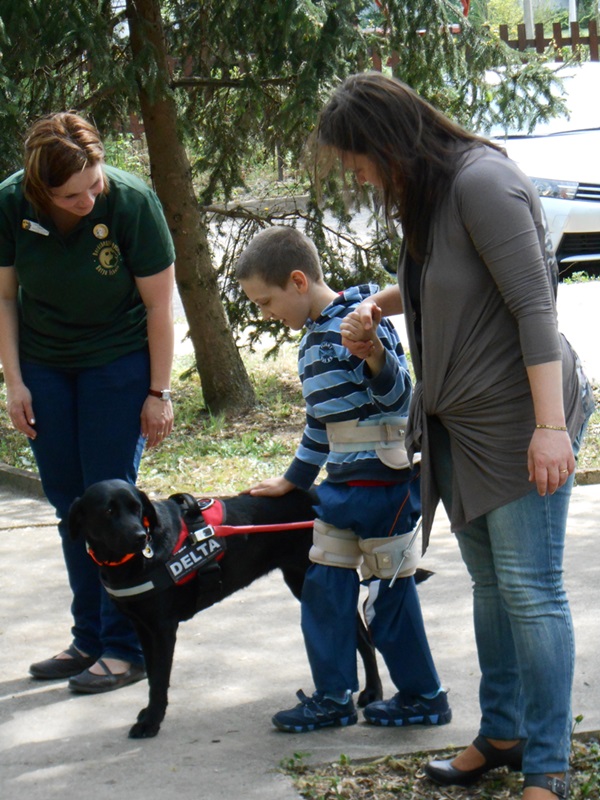 Guide dogs in a Children’s hospital