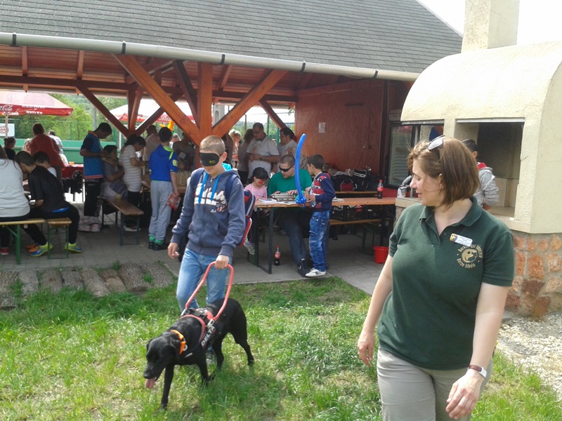 Guide Dogs at a Children’s Rights Event