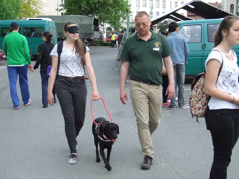Guide Dogs on the Family Day