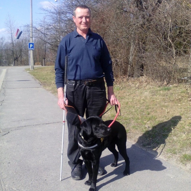 A new successful traffic safety exam