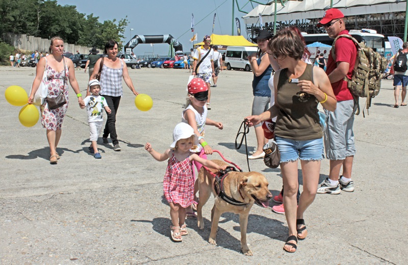 The most professional leaders meet at Hungaroring