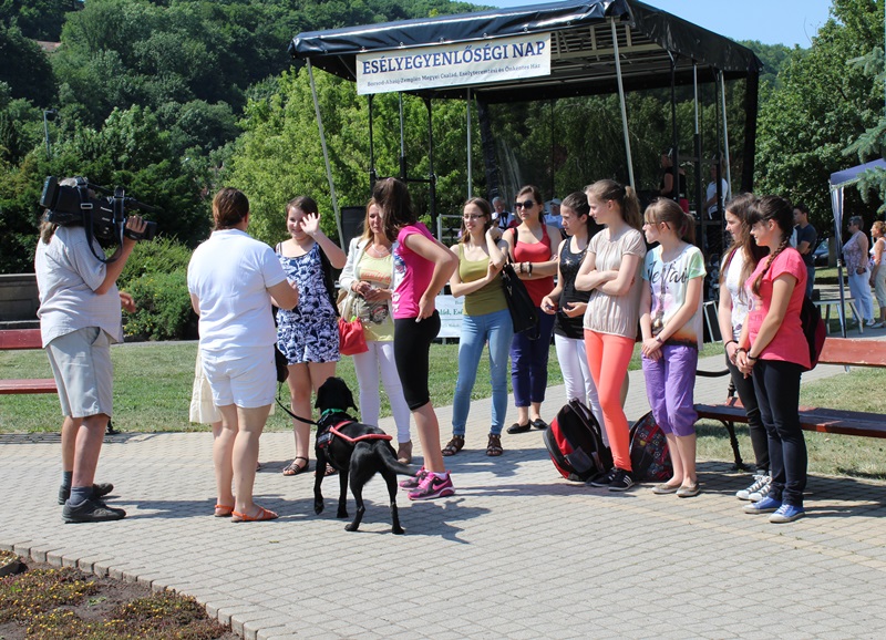 Equal Opportunity Day with Guide Dogs
