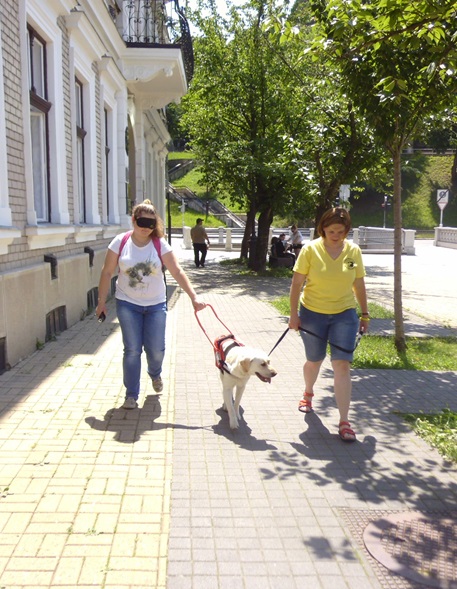 Guide Dogs on Festive Book Week