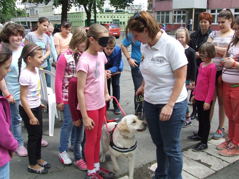Guide Dogs on Students’ Council Day