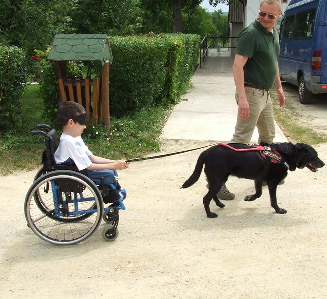 Dió and Delta in Hernádszentandrás