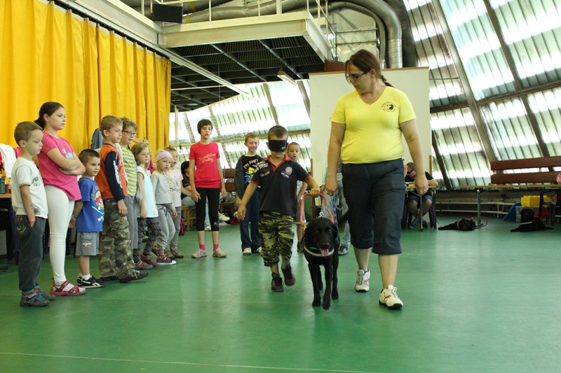 With Guide Dogs at the Bosch Summer Camp