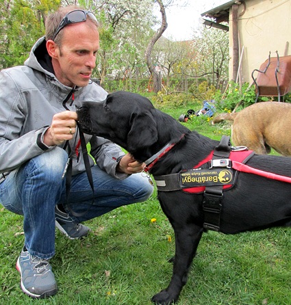 Another Successful Traffic Safety Exam