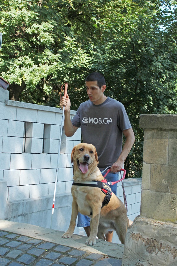 Ádám and his Guide Dog Bözsi