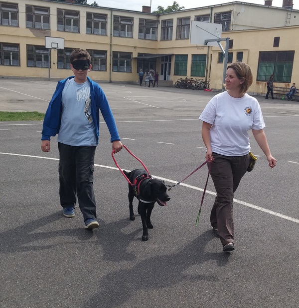 Guide Dogs in the Primary School of Görömböly