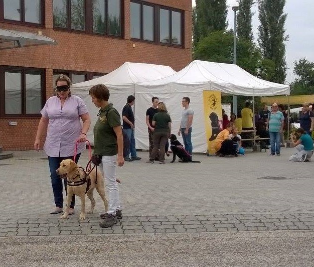 Messer Family Day with Guide Dogs