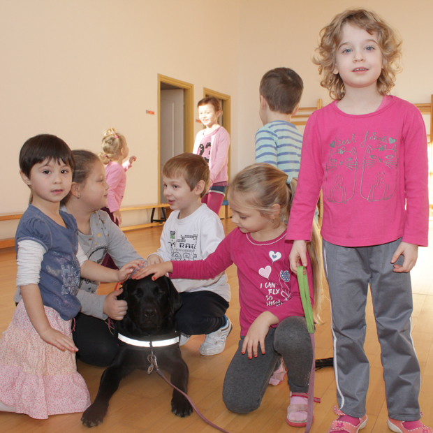 Guide Dogs in a Kindergarten