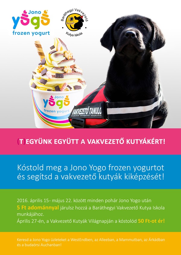 (T)EGYÜNK EGYÜTT A VAKVEZETŐ KUTYÁKÉRT!
