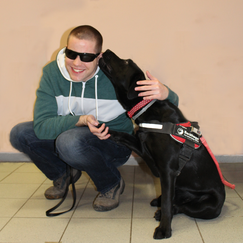 Zoltán and Fanni Passed the Exam