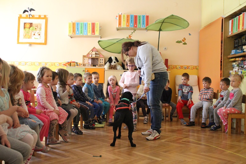 Guide Dogs in a Kindergarten